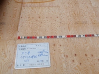 ＩＴＩＹＵＫＡ07 (800x600).jpg